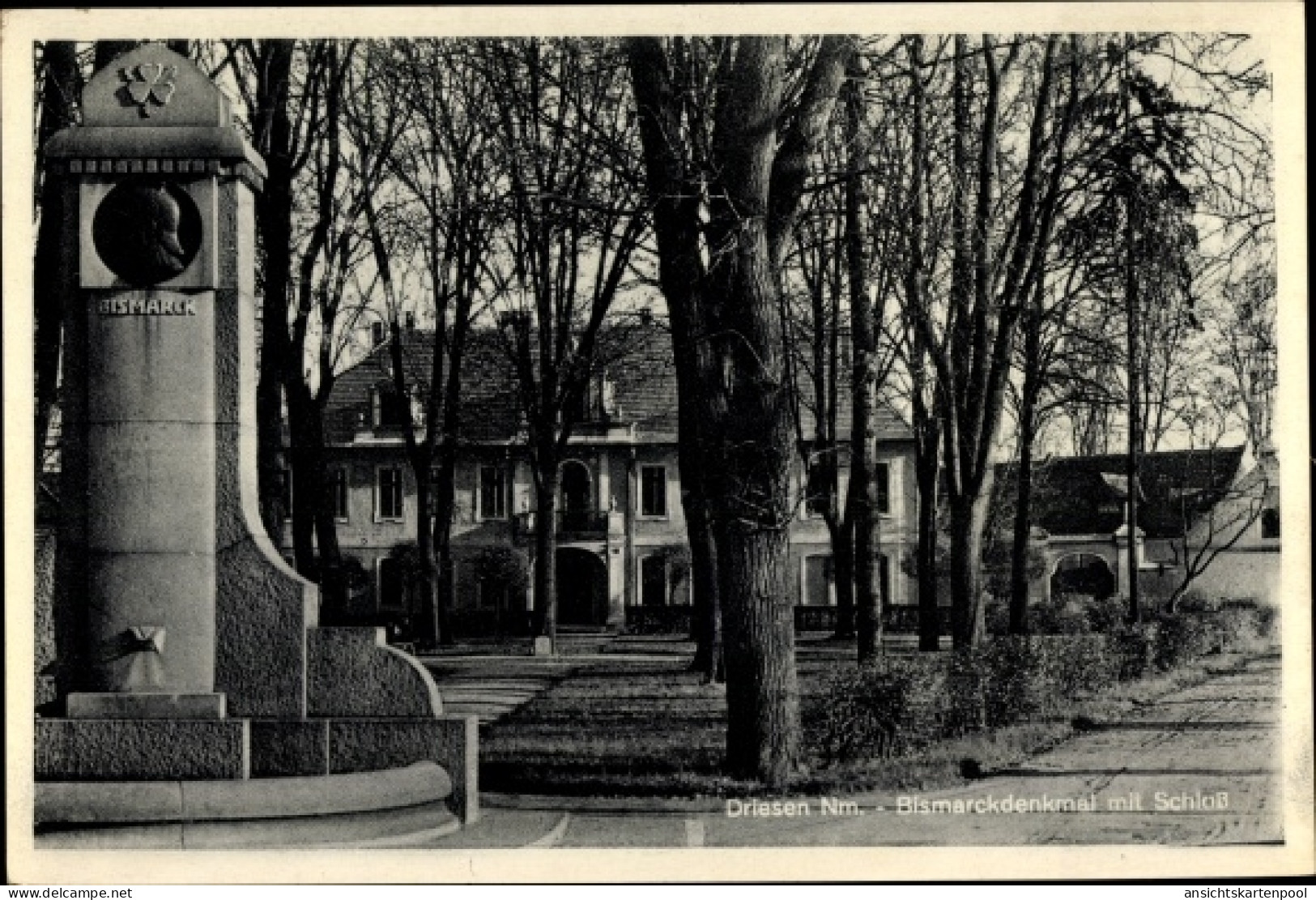 CPA Drezdenko Driesen Neumark Ostbrandenburg, Bismarckdenkmal Mit Schloss - Neumark