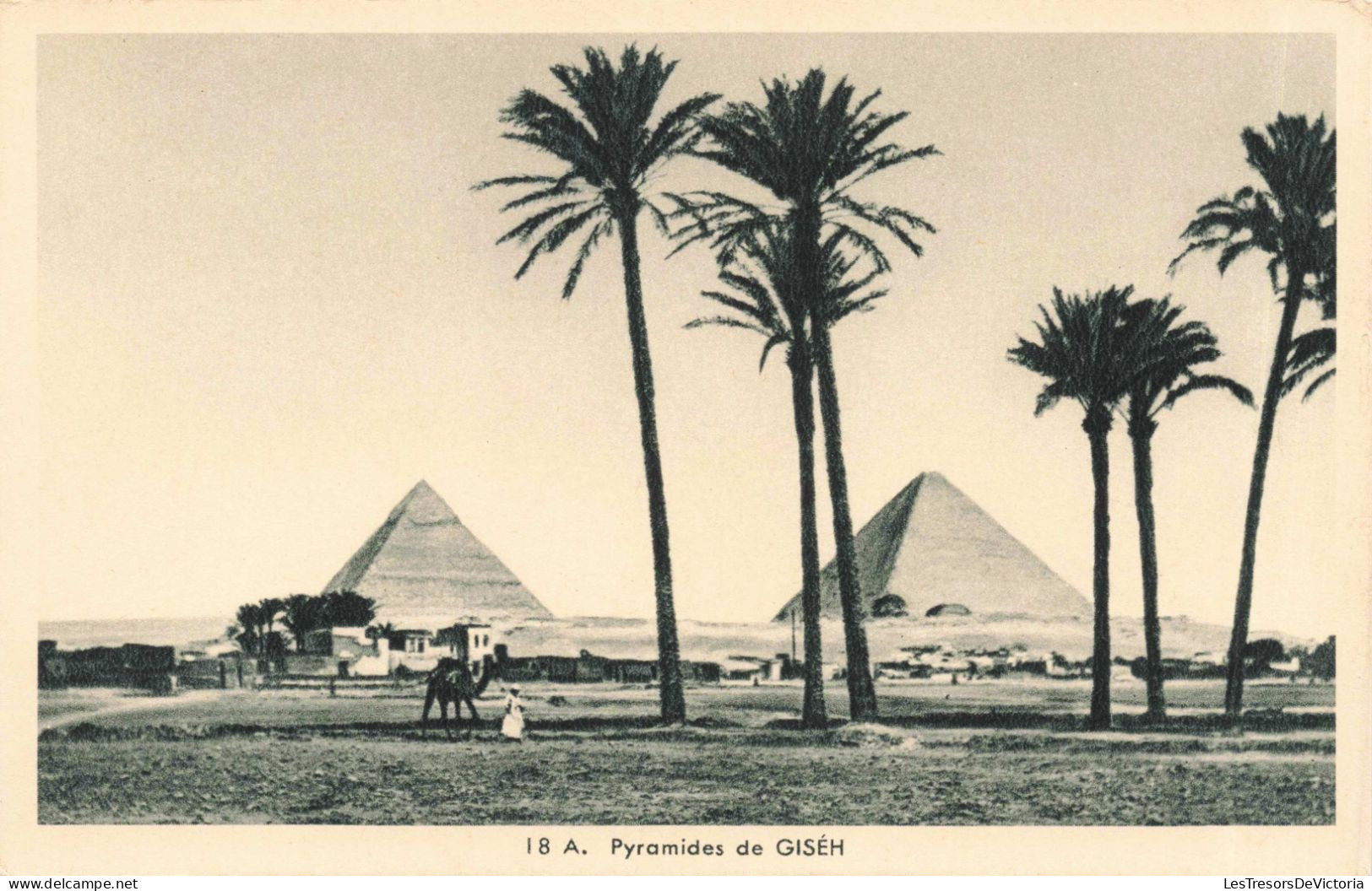 EGYPTE - Gizeh -  A. Pyramide De GISEH - Pyramides - Dromadaire - Palmiers - Carte Postale Ancienne - Guiza