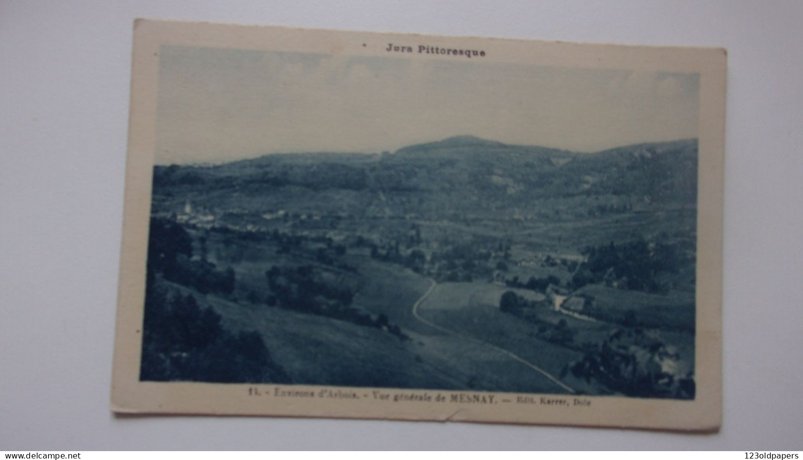 39 MESNAY VUE GENERALE  ENVIRONS ARBOIS  1929 - Autres & Non Classés