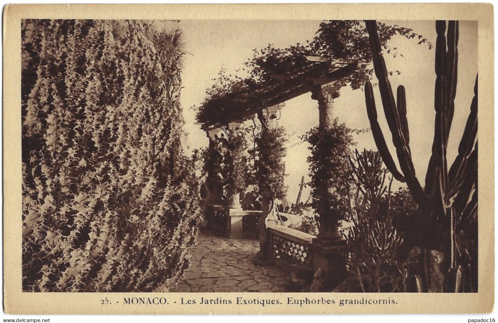 MC - Monaco - Les Jardins Exotiques - Euphorbes Grandicornis - éd. La Cigogne N° 25 (non Circ.) - Jardin Exotique