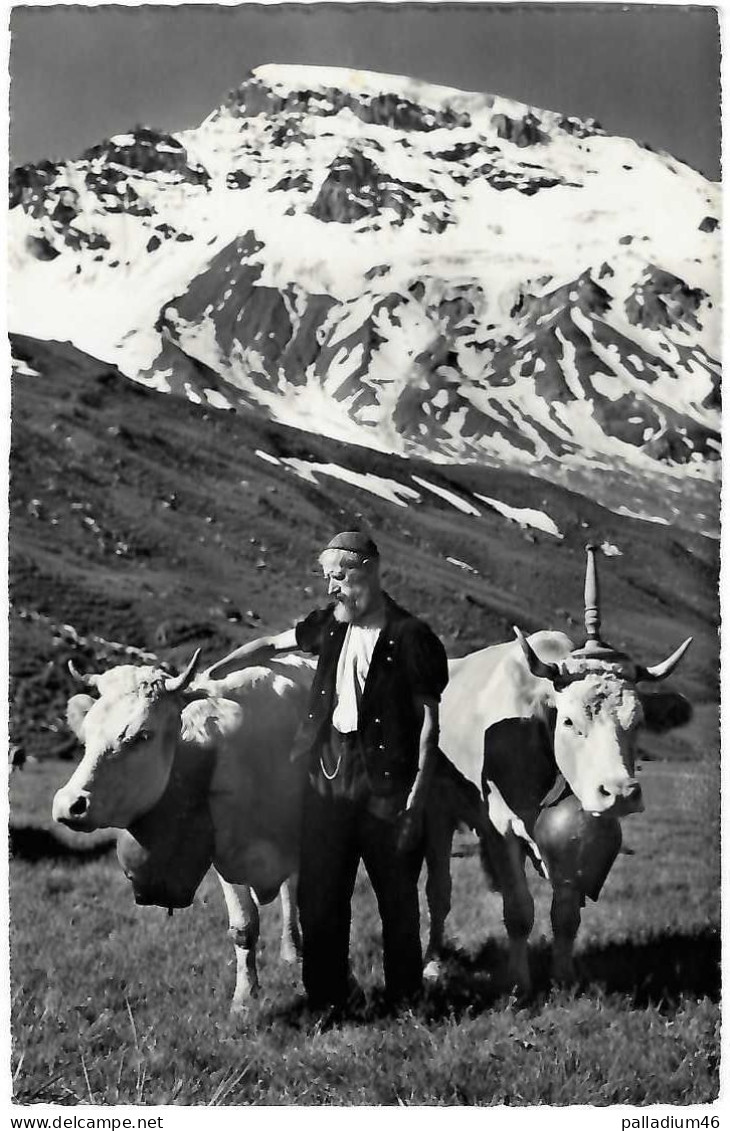 SUISSE FOLKLORE SUR L'ALPE - ARMAILLI AVEC VACHE - A.Deriaz Baulmes No 10344 - Circulé Le 04.08.1953 - Riaz