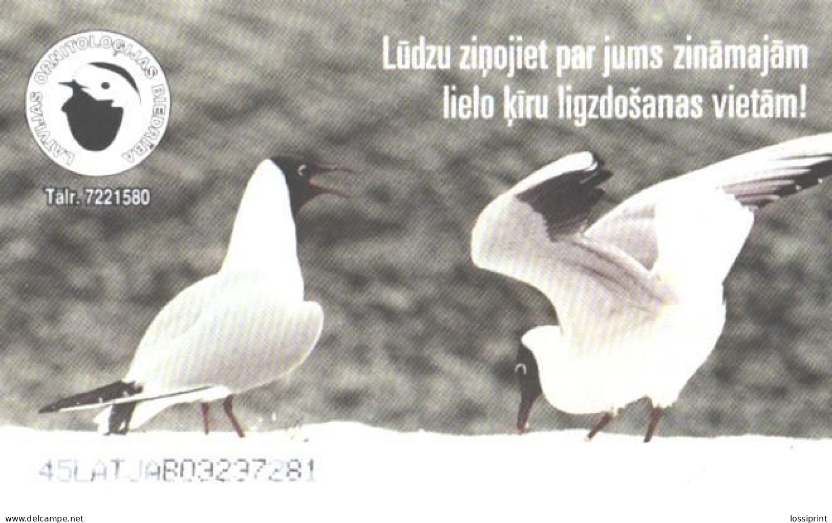 Latvia:Used Phonecard, Lattelekom, 2 Lati, Bird, Gull, 2003 - Lettonia