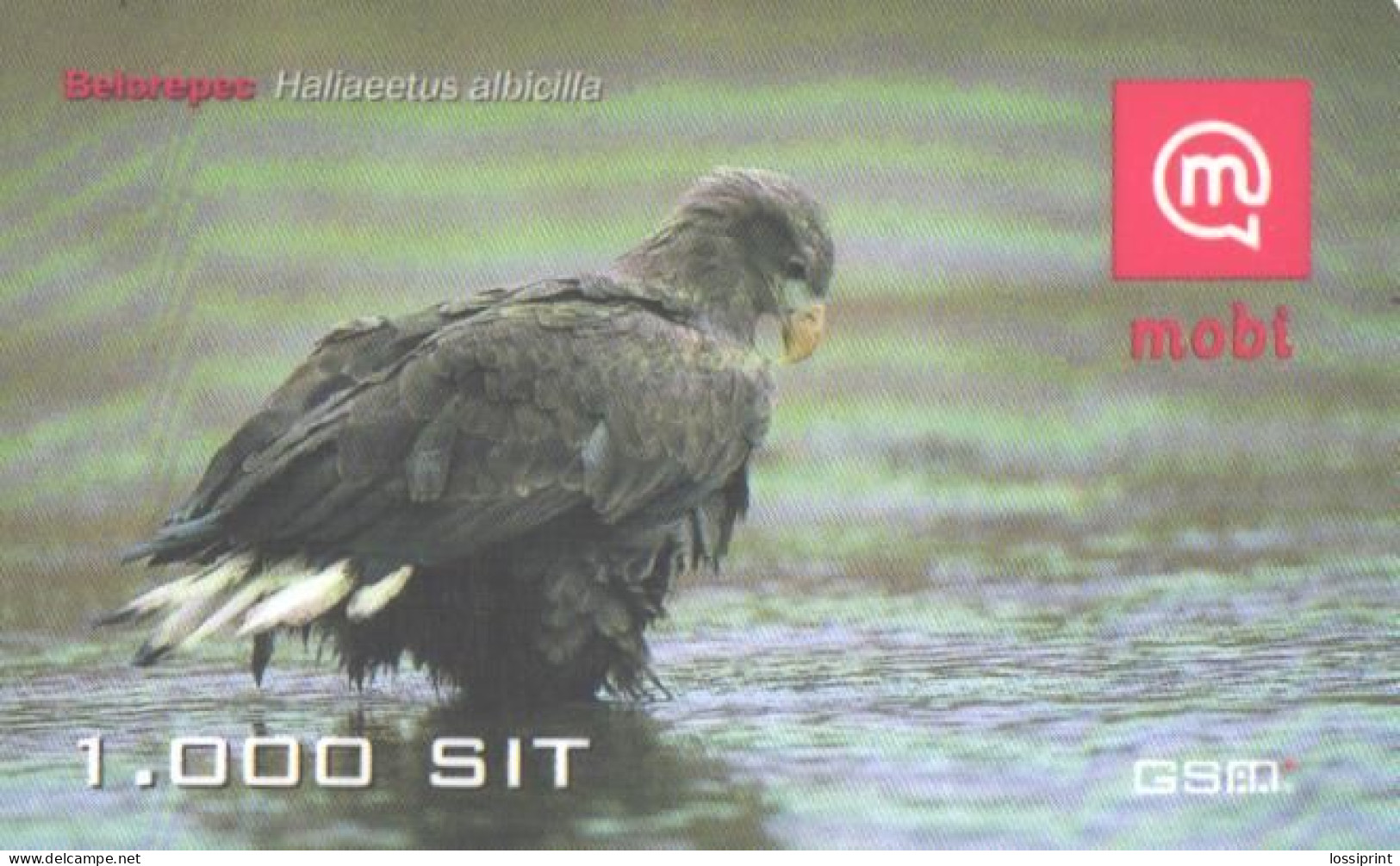 Slovenia:Used Phonecard, Mobi, 1000 SIT, Bird, Eagle, Haliaeetus Albicilla - Slovénie