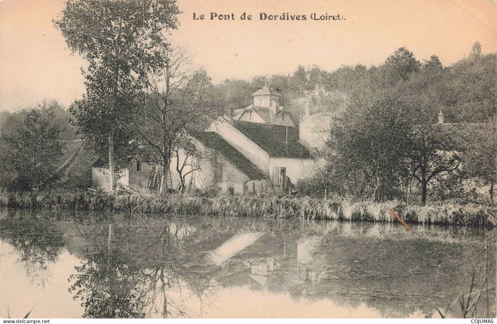 45 - DORDIVES - S19146 - Le Pont - Dordives