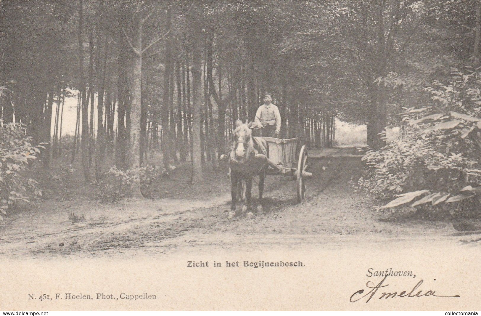 2 Oude Postkaarten  Santhoven Zandhoven   Bergenhof   1912  Zicht In Het Begijnenbosch Uitgever Hoelen - Zandhoven