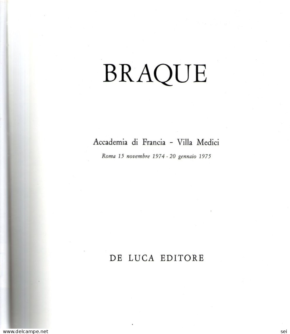 C 330 - Libro, Braque, Pittura - Arte, Antigüedades