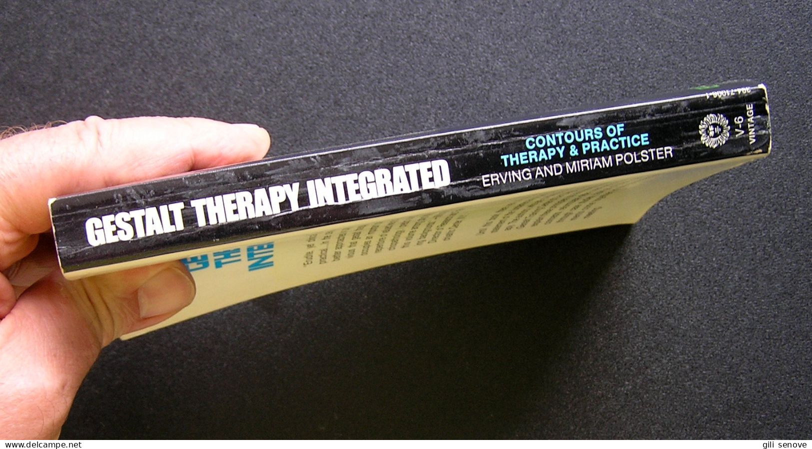 Gestalt Therapy Integrated: Contours Of Theory & Practice 1994 - Psicologia