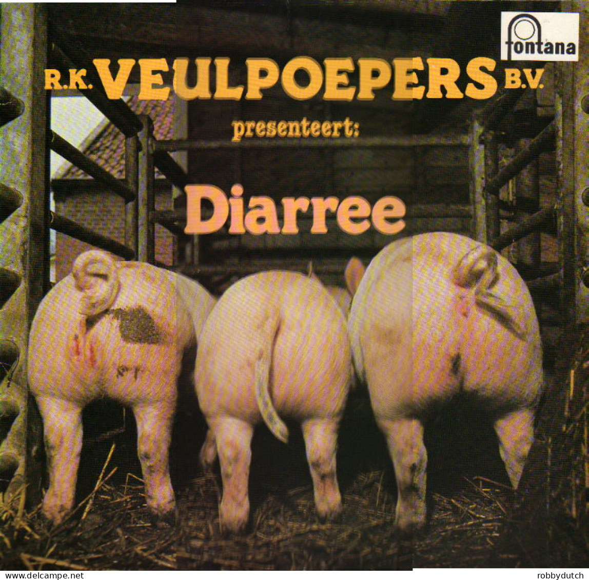 * LP *  R.K. VEULPOEPERS B.V. - DIARREE (Holland 1978 EX) - Country Y Folk