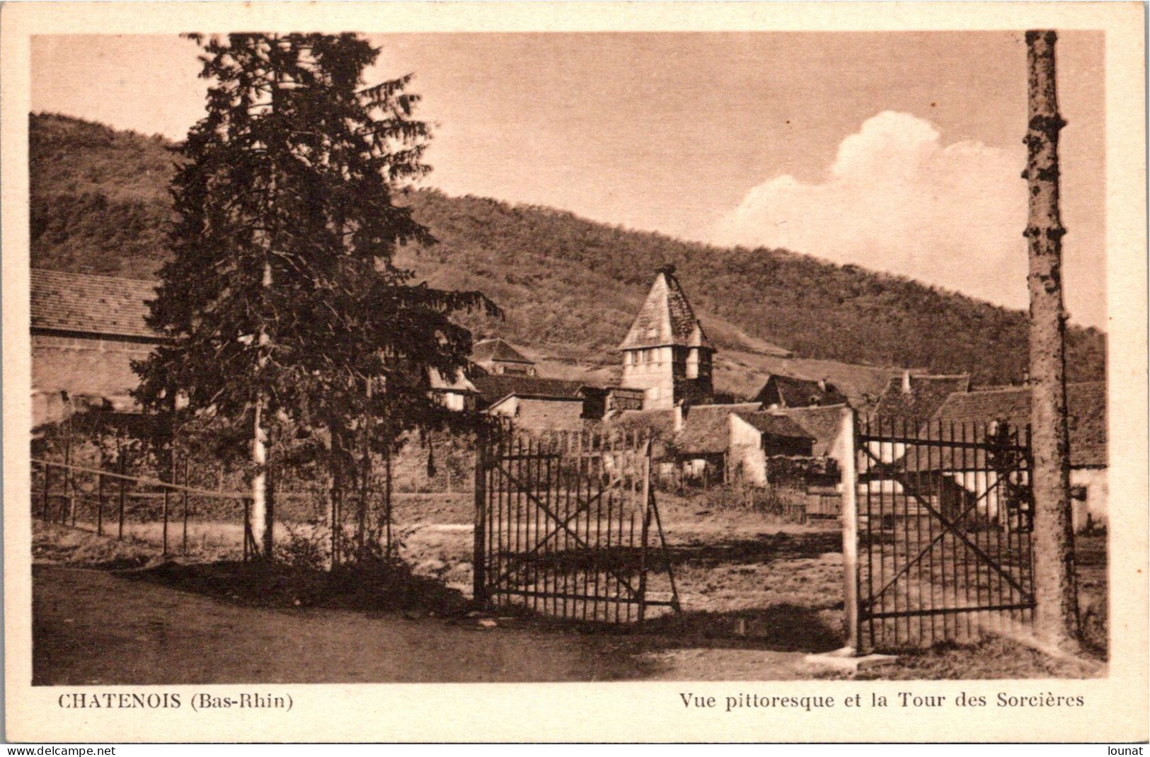 67 CHATENOIS - Vue Pittoresque  Et La Tour Des Sorcières - Chatenois