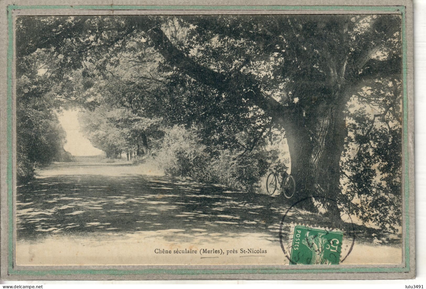 CPA - Environs De SAINT-NICOLAS-de-la-GRAVE (82) MERLES - Thème: ARBRE - Aspect Du Chêne Séculaire En 1906 - Saint Nicolas De La Grave