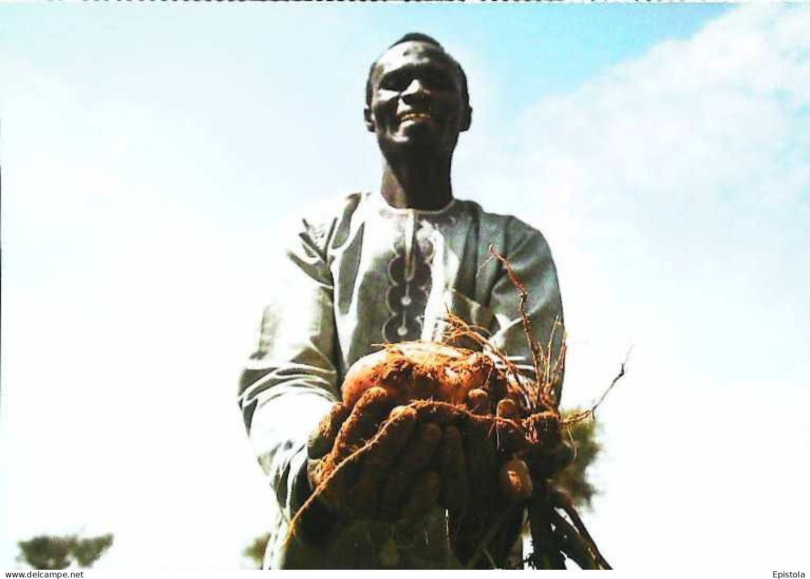 ►   Niger Agriculteur - Niger
