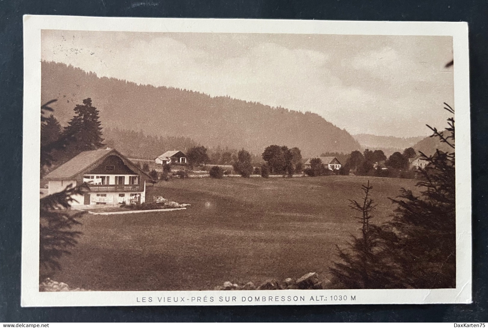 LES VIEUX-PRÉS SUR DOMBRESSON ALT/ Fotokarte - Dombresson 