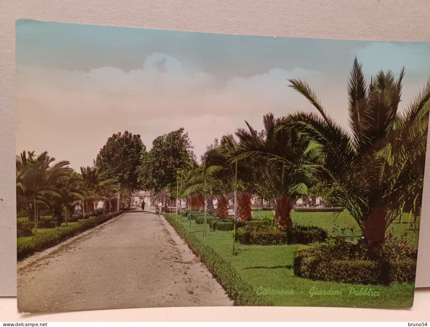 Cartolina Cittanova Provincia Reggio Calabria , Giardini Pubblici 1961 - Reggio Calabria