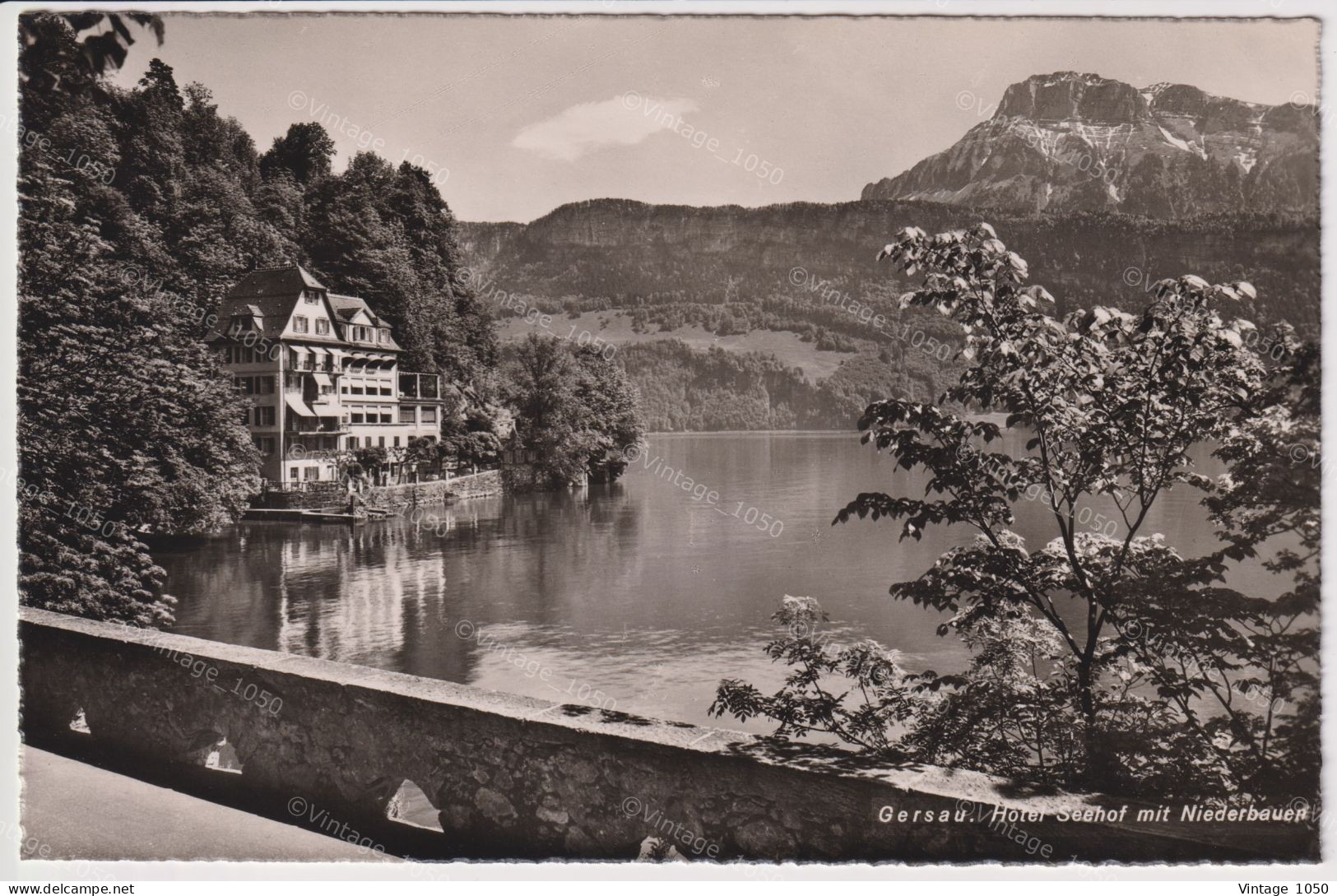 GERSAU Hotel SEEHOF Mit Niederbauen N°7854 Edit Wehrli Circa 1950 +/- 9x14cm  #260630 - Gersau