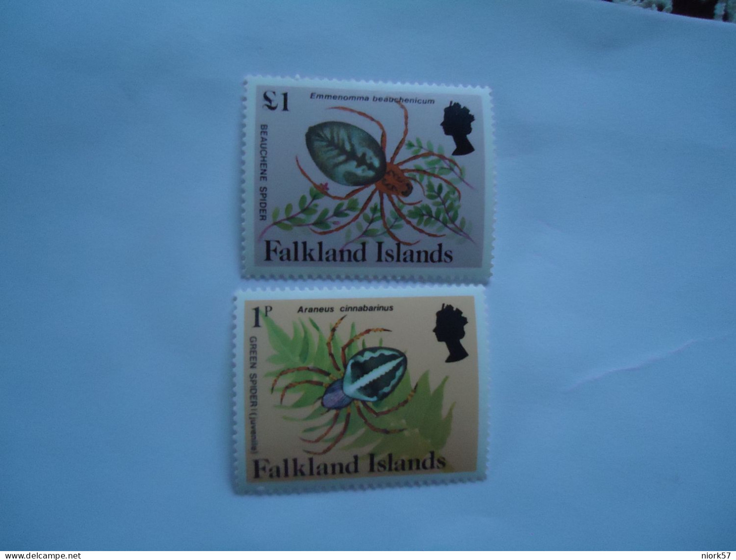 FALKLAND ISLANDS   MNH STAMPS  2 SPIDERS - Spinnen