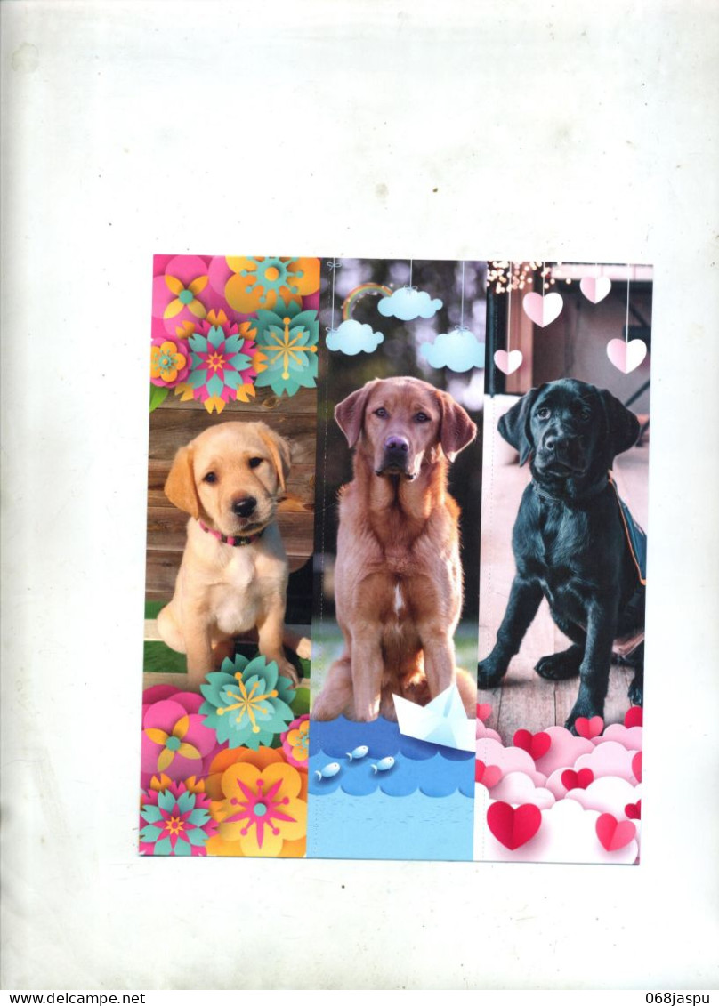 Enveloppe Reponse T Chien Guide Est + Destineo + Marque Page - Cartes/Enveloppes Réponse T