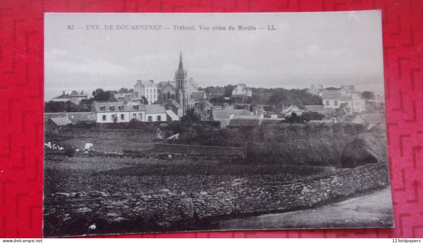 29 TREBOUL VUE PRISE DU MOULIN - Tréboul