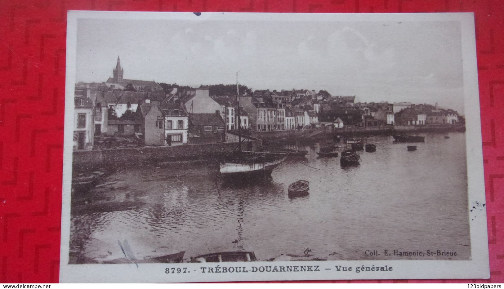 29 TREBOUL DOURNENEZ  VUE GENERALE - Tréboul