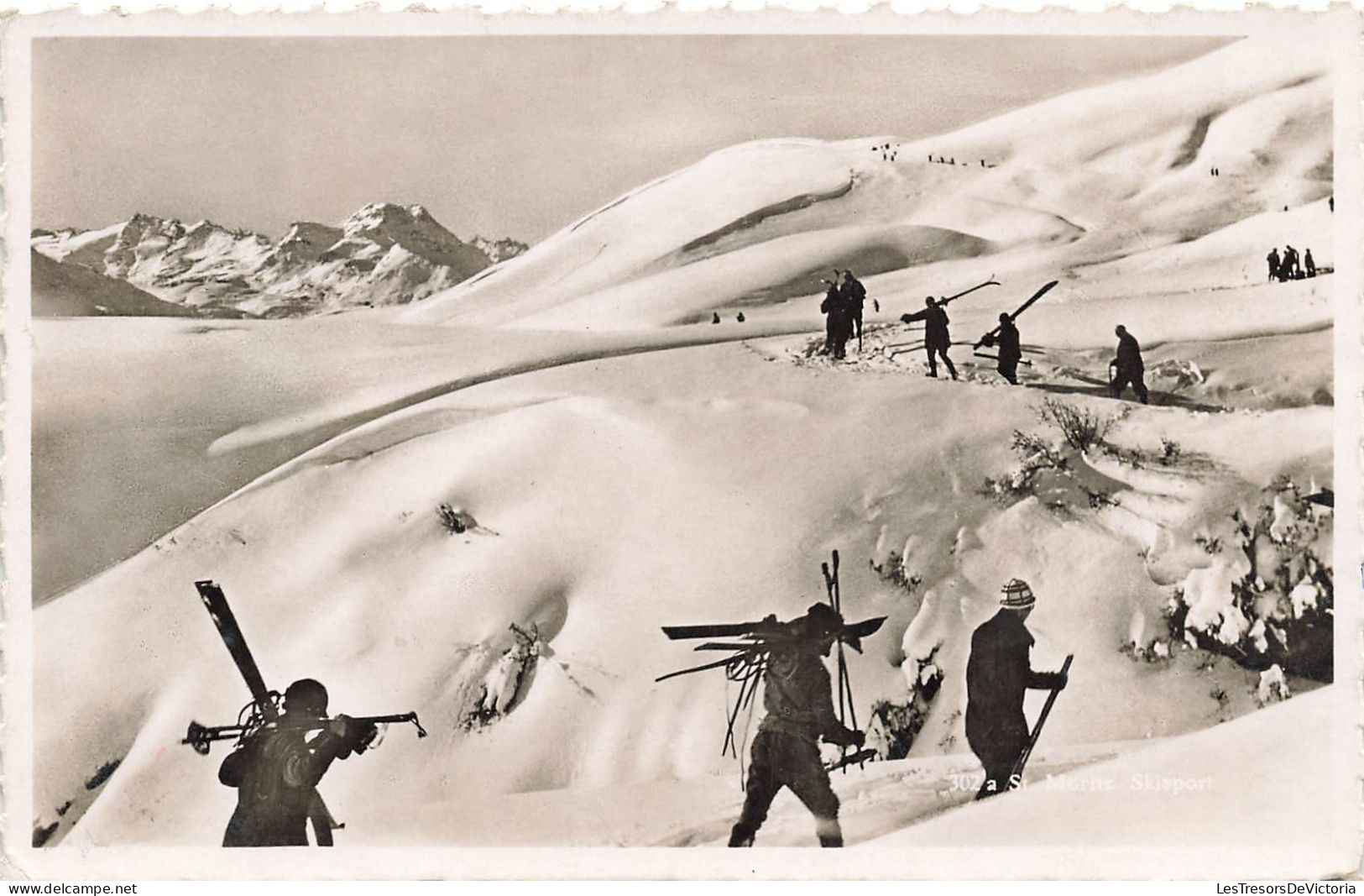 Suisse - St Moritz - Ski Sport - Echte Photographie - Animé - Bords Dentelés - Carte Postale Ancienne - St. Moritz