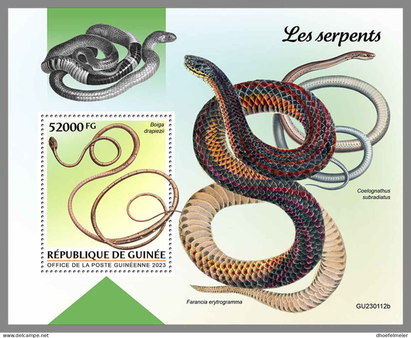 GUINEA REP. 2023 MNH Snakes Schlangen Serpents S/S - OFFICIAL ISSUE - DHQ2327 - Serpientes