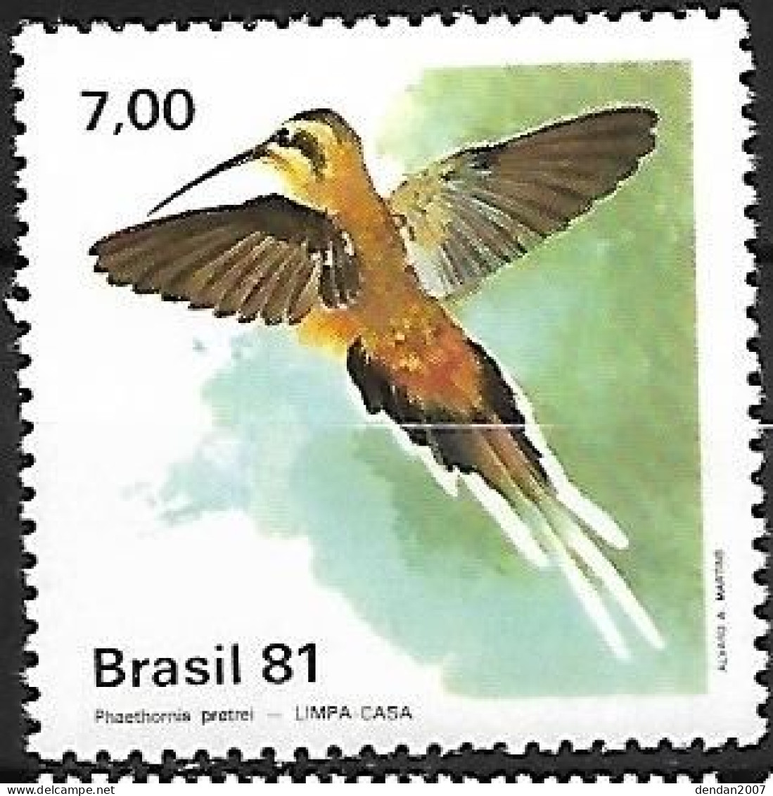 Brazil - MNH ** 1981 : Planalto Hermit    Phaethornis Pretrei - Kolibries