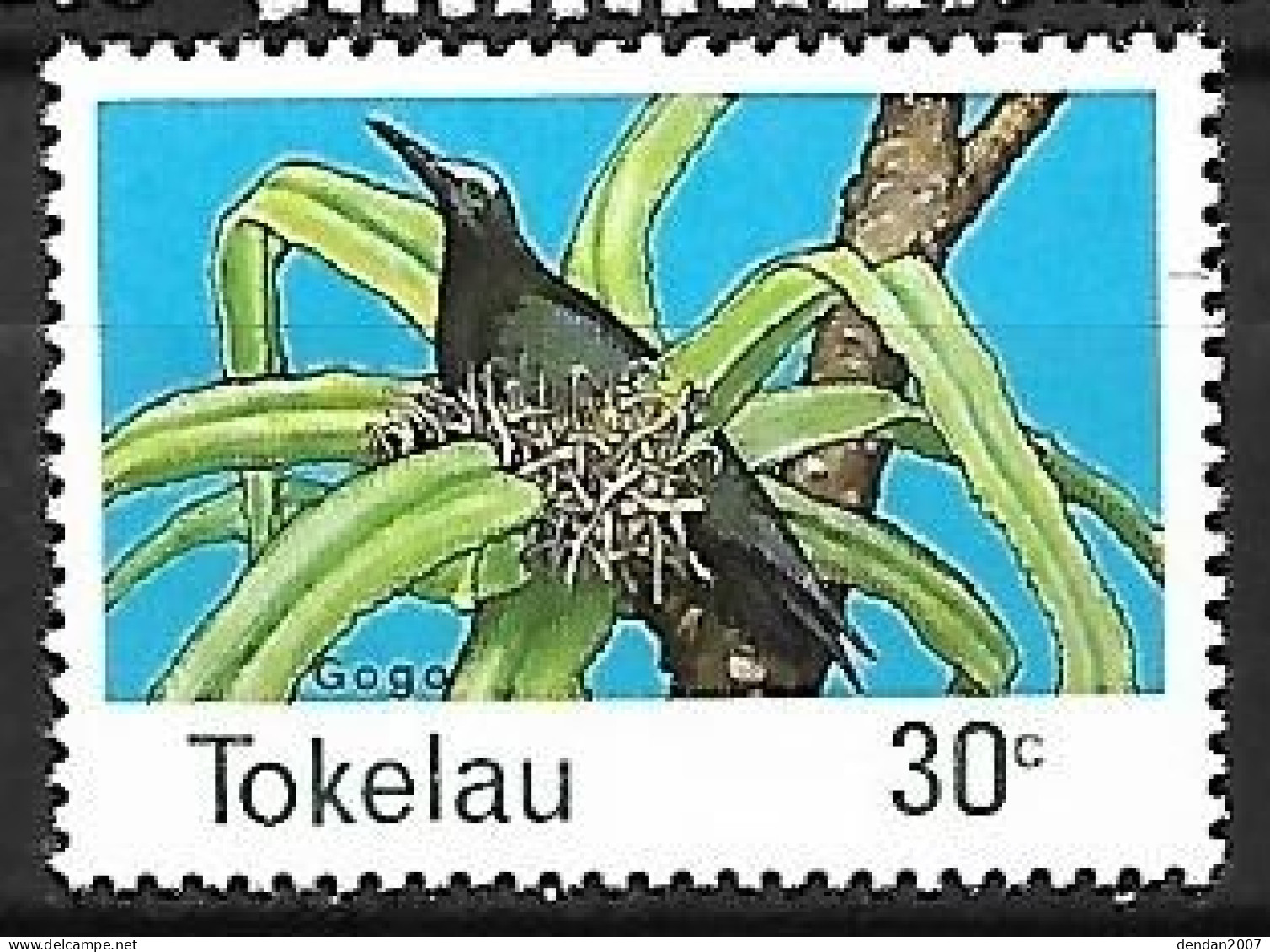 Tokelau - MNH ** 1977 :    Brown Noddy  -  Anous Stolidus - Möwen