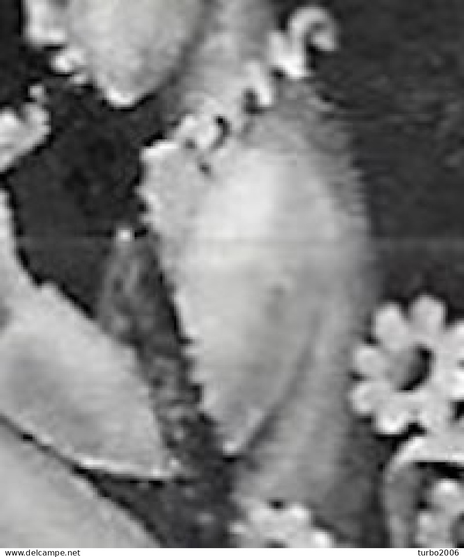 Plaafout Wit Puntje Op De Bovenarm  (zegel 53) In 1938 Kinderzegels 1½ + 1½ Ct Zwart NVPH 313 PM - Plaatfouten En Curiosa