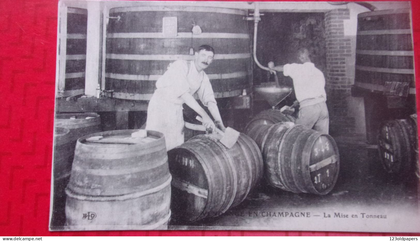 Vendange En Champagne CPA Vendanges La Mise Au Tonneau - Autres & Non Classés