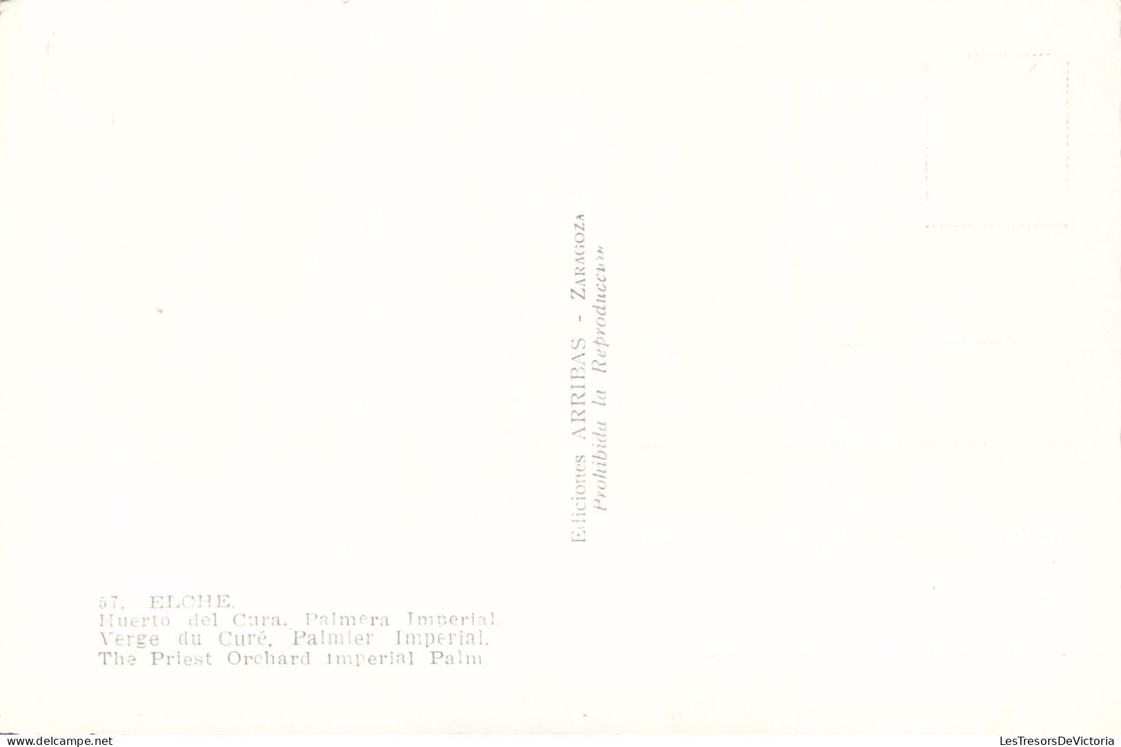 ESPAGNE - ELCHE - Huerto Del Cura - Palmera Imperial -  Carte Postale Ancienne - Autres & Non Classés
