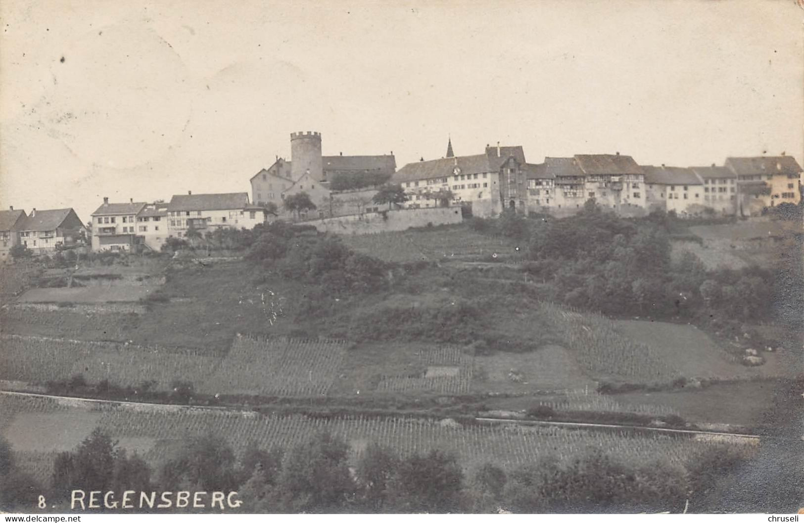 Regensberg - Regensberg