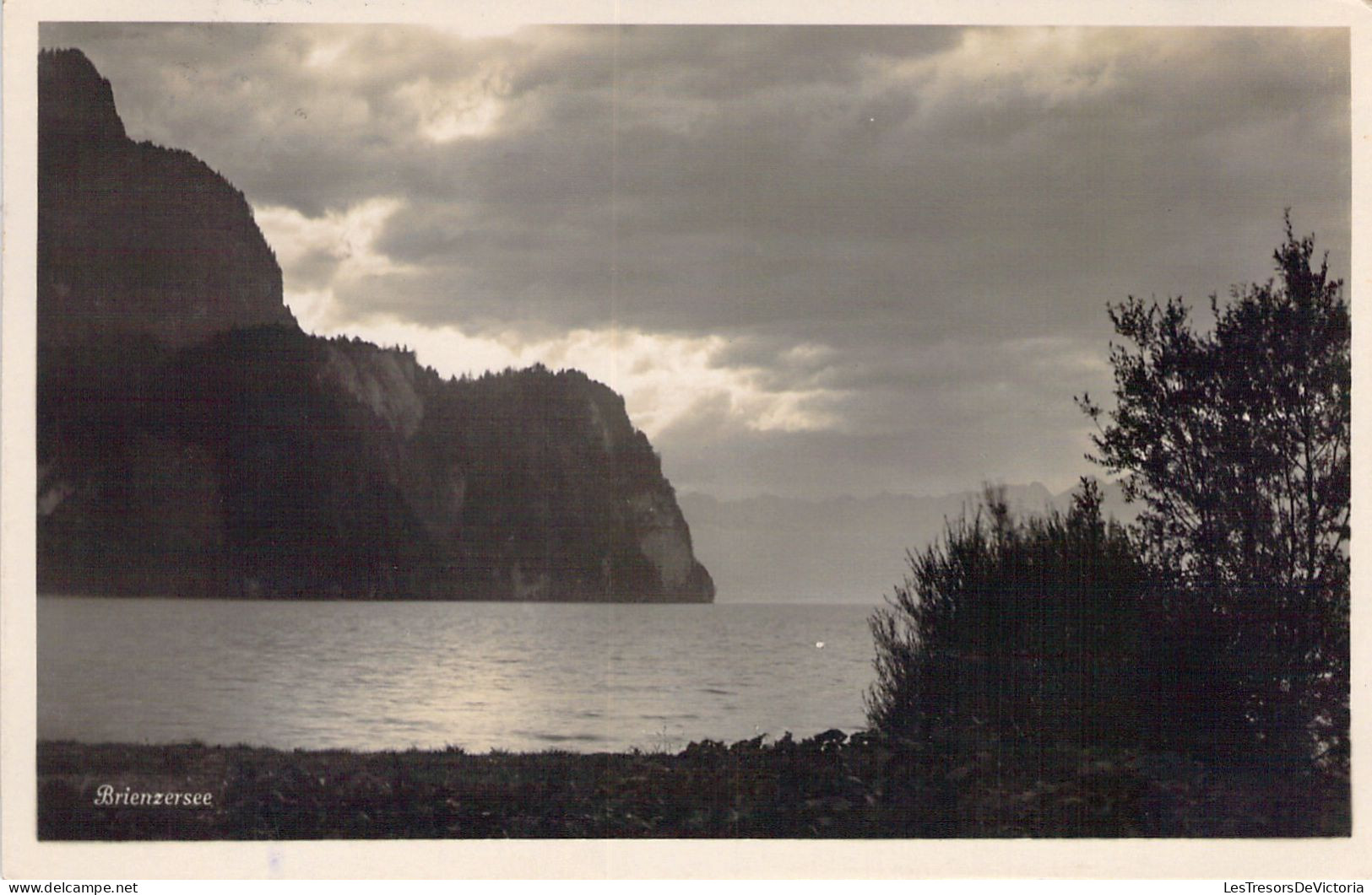 SUISSE - Brienzersee -  Carte Postale Ancienne - Brienz