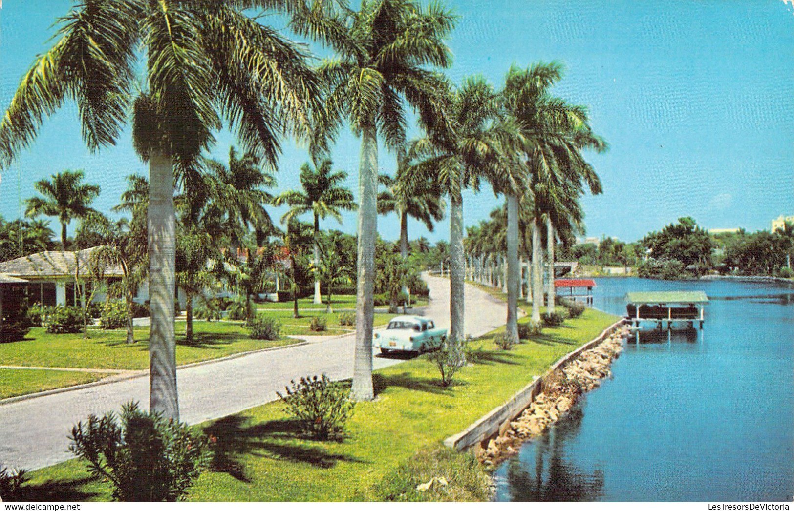 USA - Delightful Tropical Florida Living -  Carte Postale Ancienne - Sonstige & Ohne Zuordnung