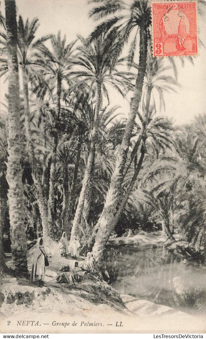 Tunisie - Nefta - Groupe De Palmiers - LL  - Carte Postale Ancienne - Tunisie