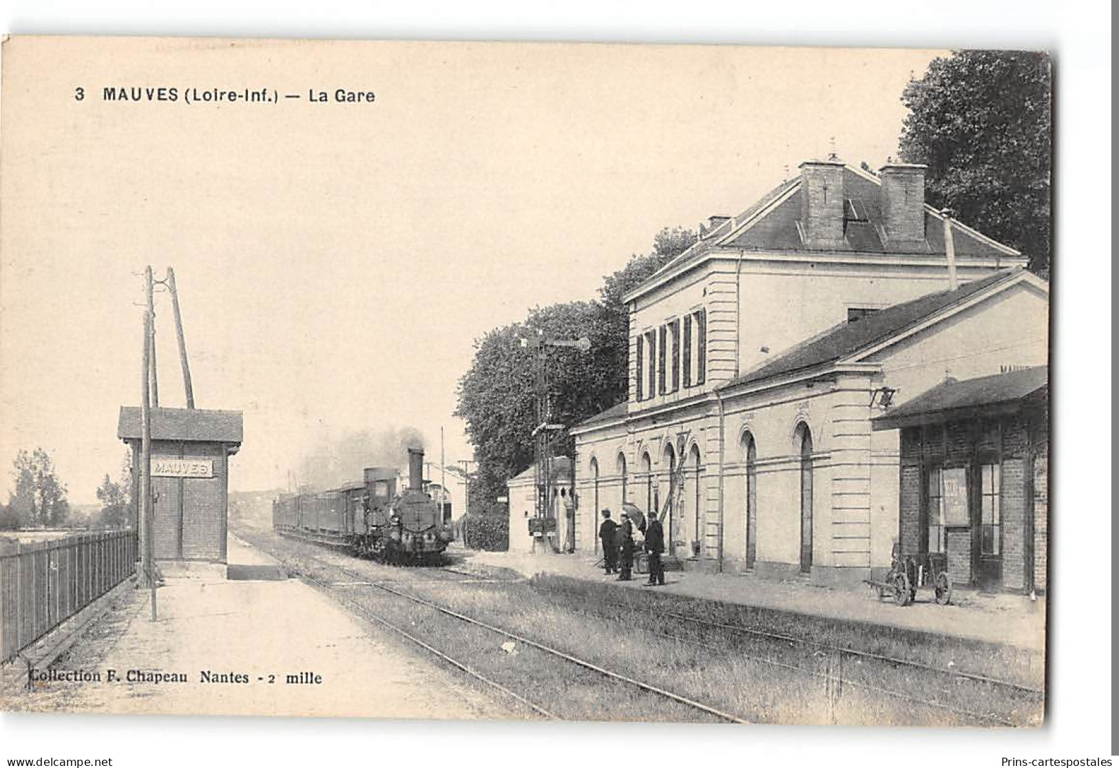 CPA 44 Mauves La Gare Et Le Train - Mauves-sur-Loire