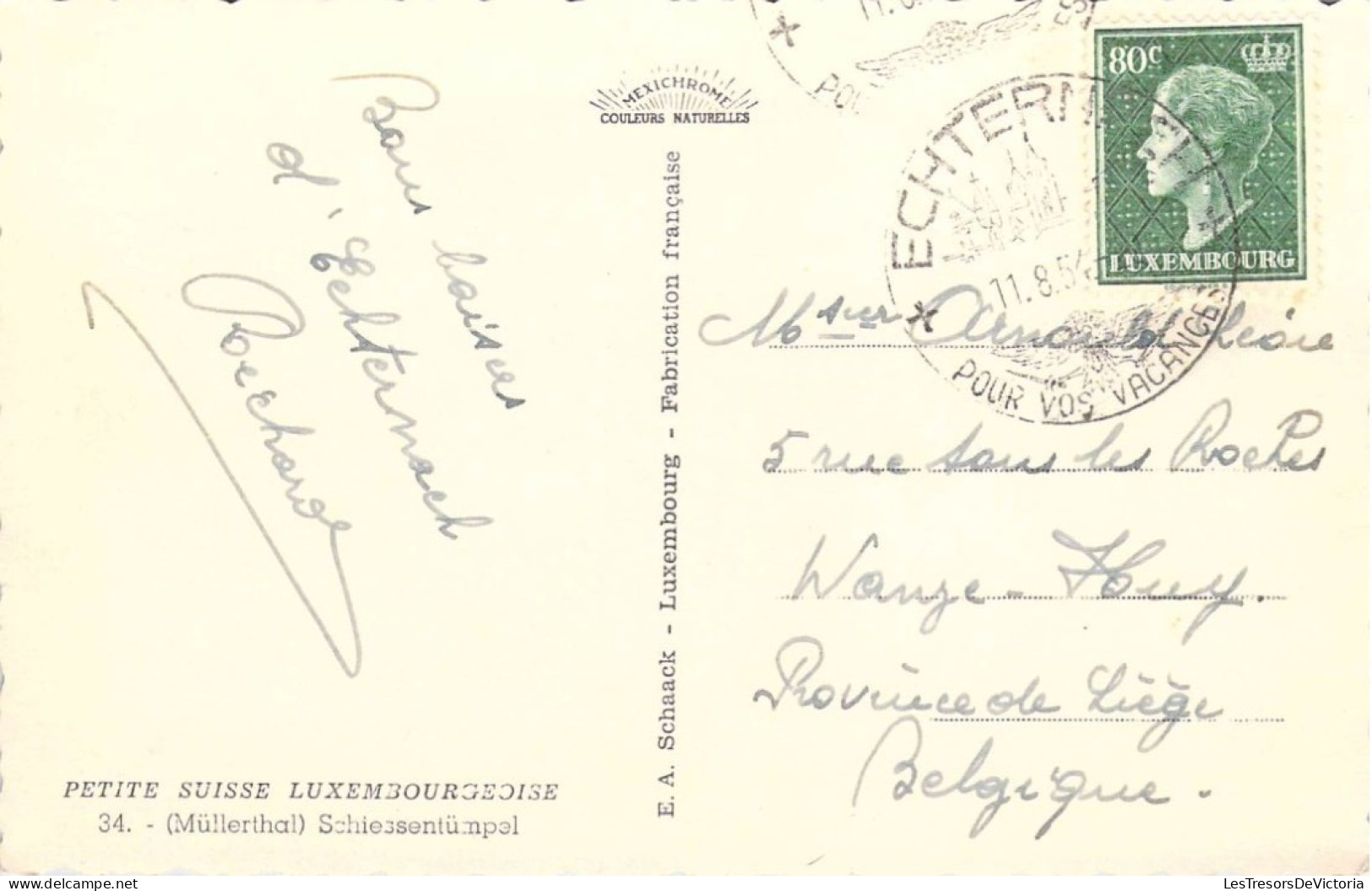 Luxembourg - Muellerthal - PETITE SUISSE LUXEMBOURGEOISE - Schiessentumpel - Carte Postale Ancienne - Müllerthal