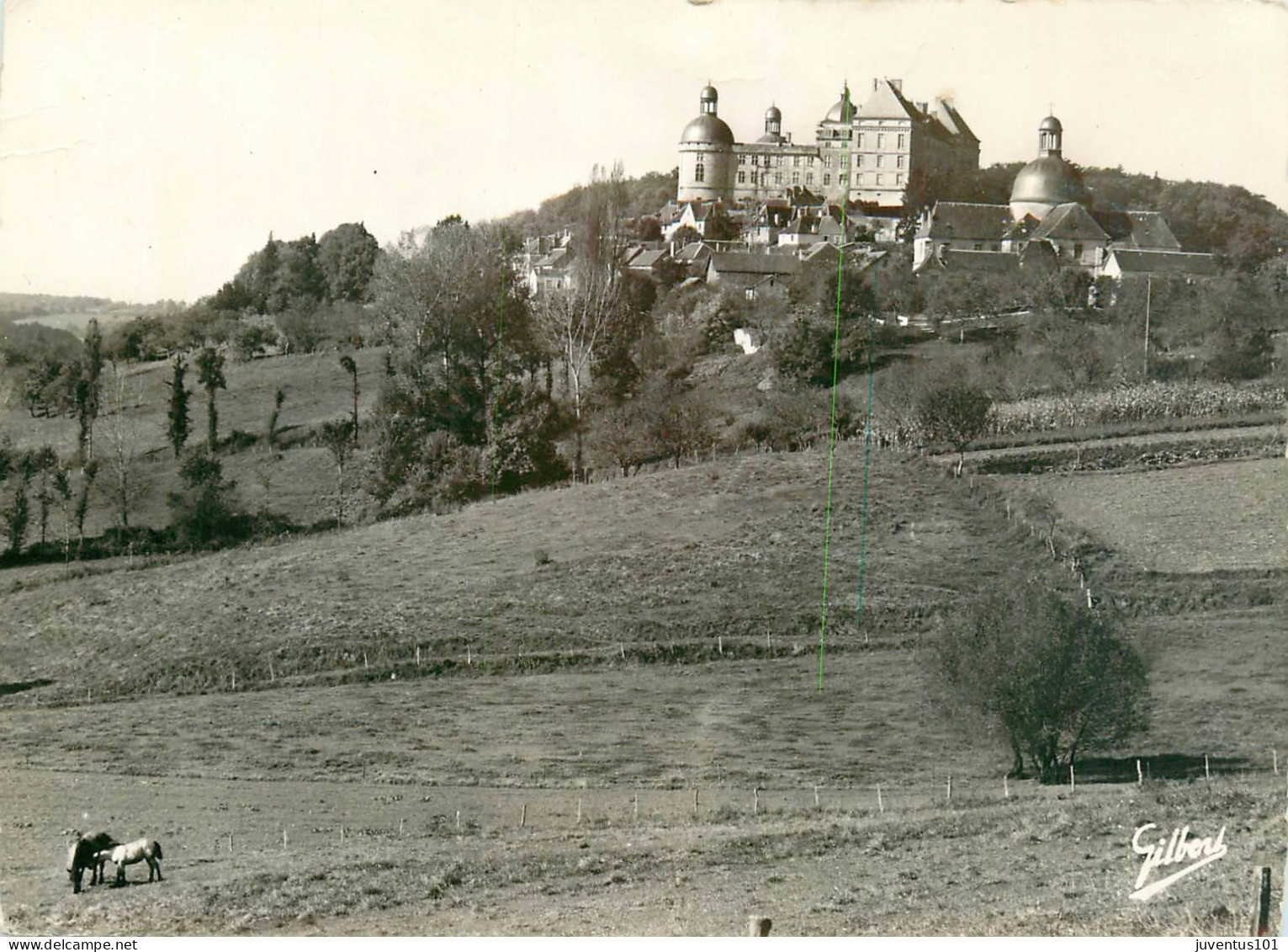 CPSM Hautefort-Le Château-RARE     L2293 - Hautefort