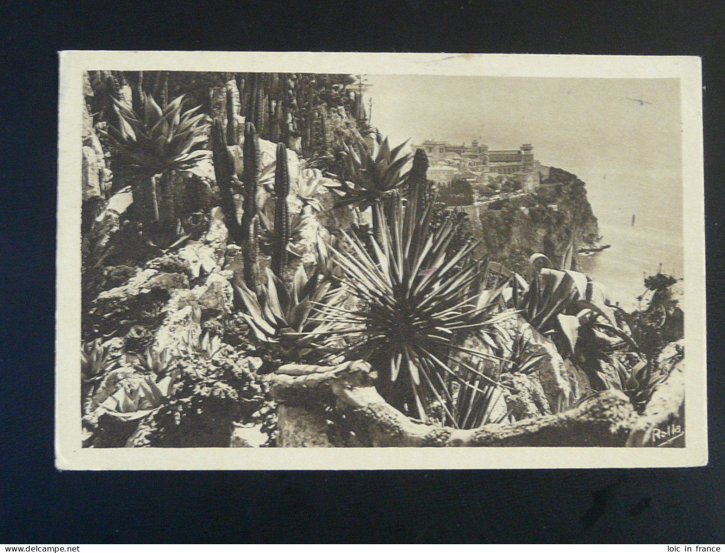 Carte Postale Postcard Cactus Monaco 1955 - Sukkulenten