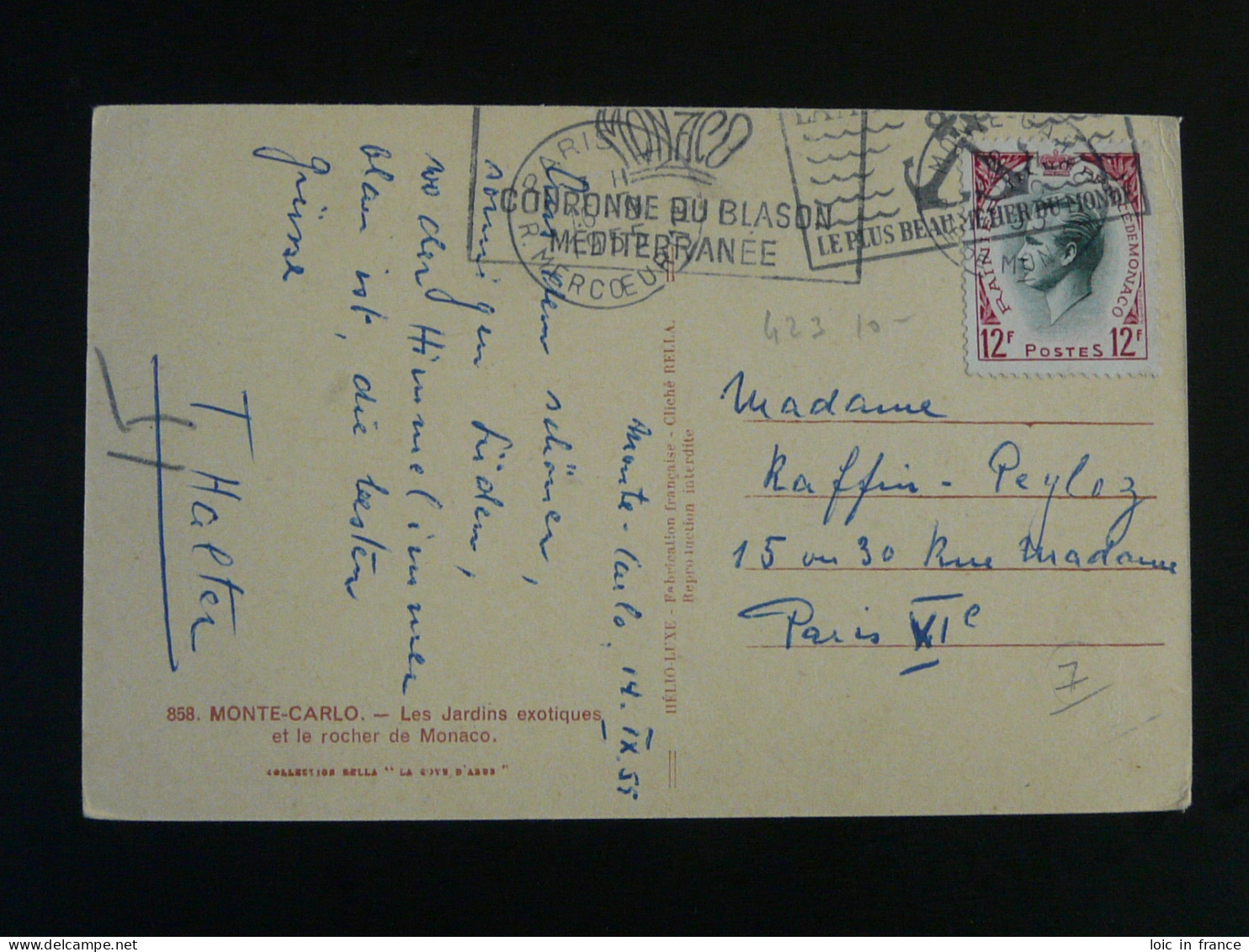 Carte Postale Postcard Cactus Monaco 1955 - Cactussen