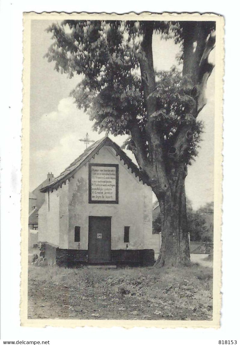 Beringen    Het Smeedskapelleke In De Broeckhoven - Beringen