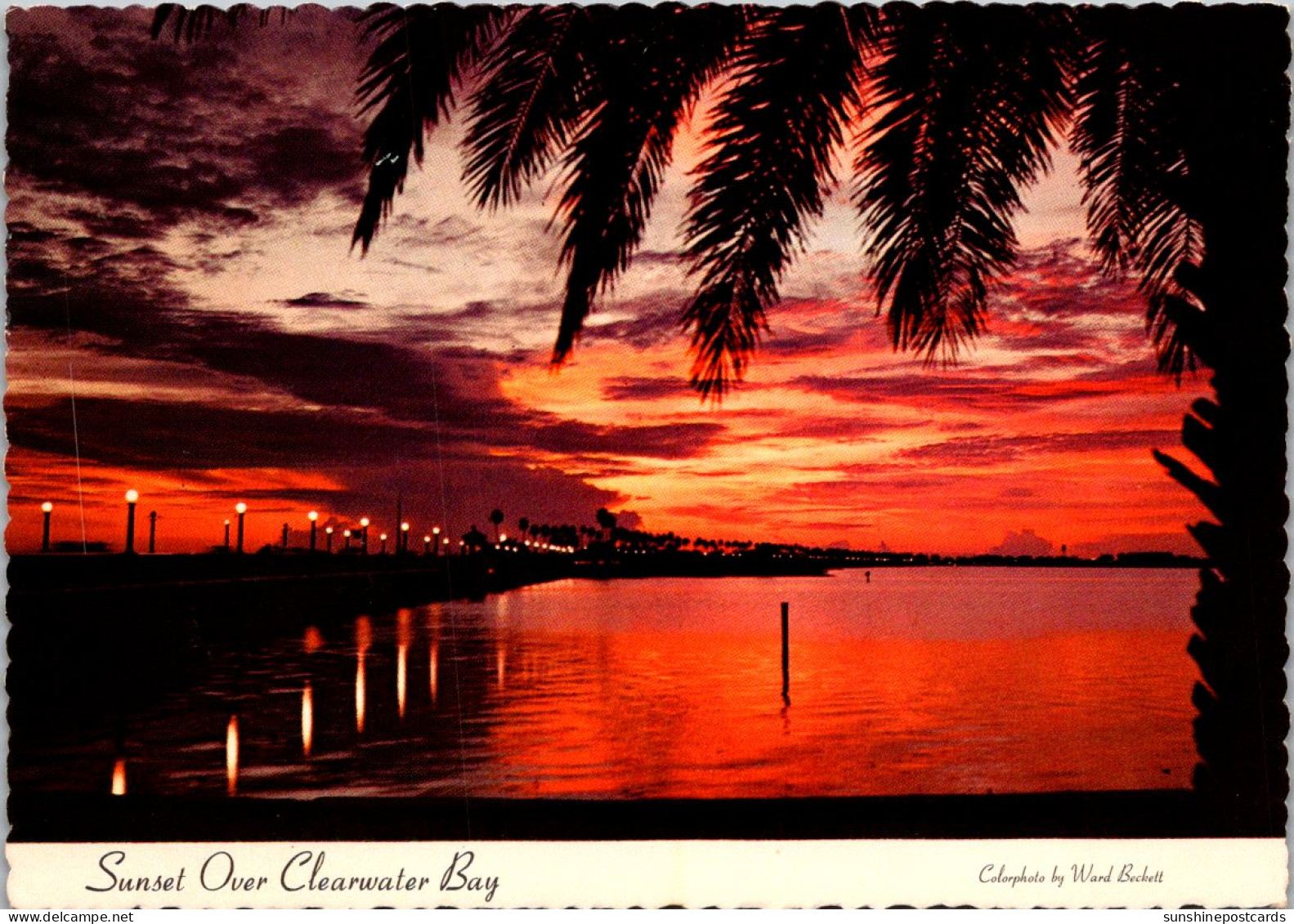 Florida Sunset Over Clearwater Bay - Clearwater