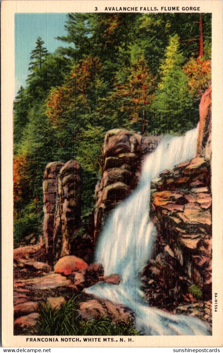 New Hampshire White Mountains Franconia Notch Flume Gorge Avalanche Falls Curteich - White Mountains