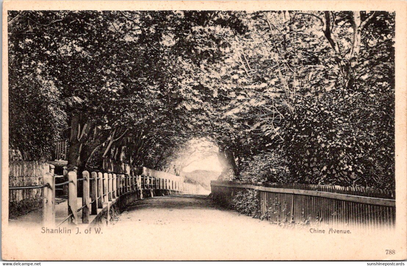 England Isle Of Wight Shanklin Chine Avenue - Shanklin