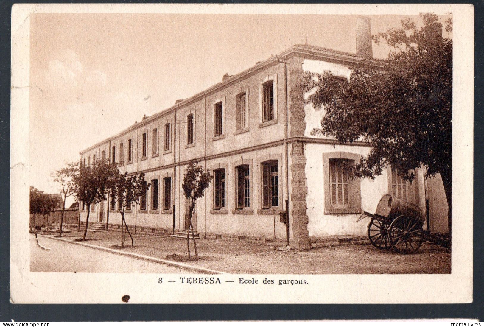 Tebessa (-Algérie) école De Garçons  (PPP43293) - Tebessa