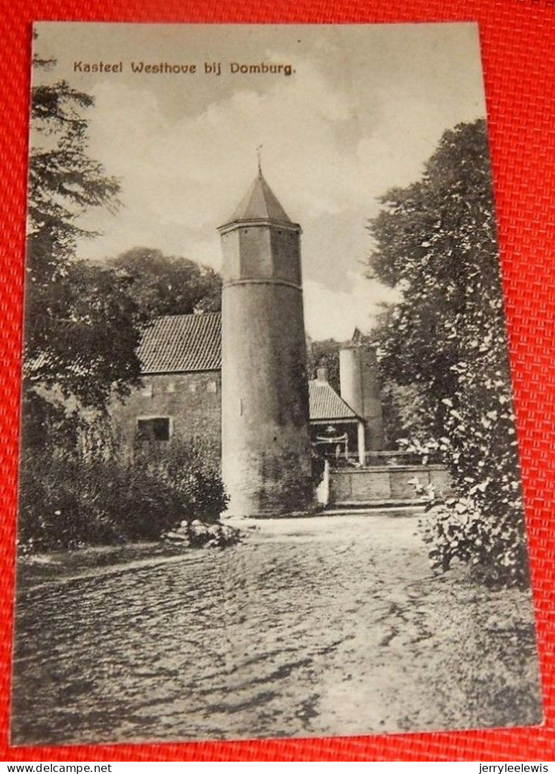 DOMBURG  -  Kasteel Westhove Bij Domburg - Domburg