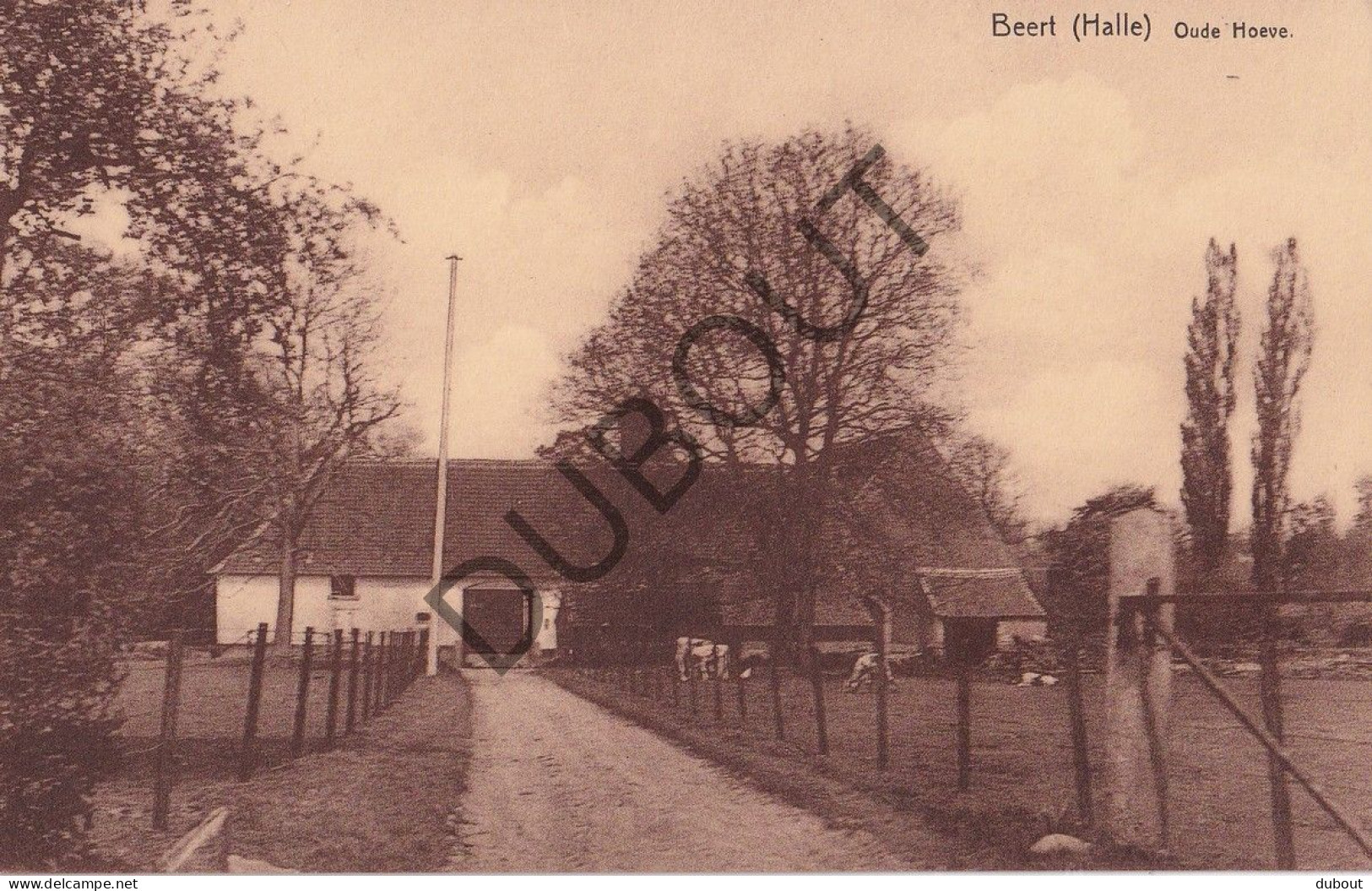 Postkaart/Carte Postale - Beert (Halle) Oude Hoeve  (C4649) - Pepingen