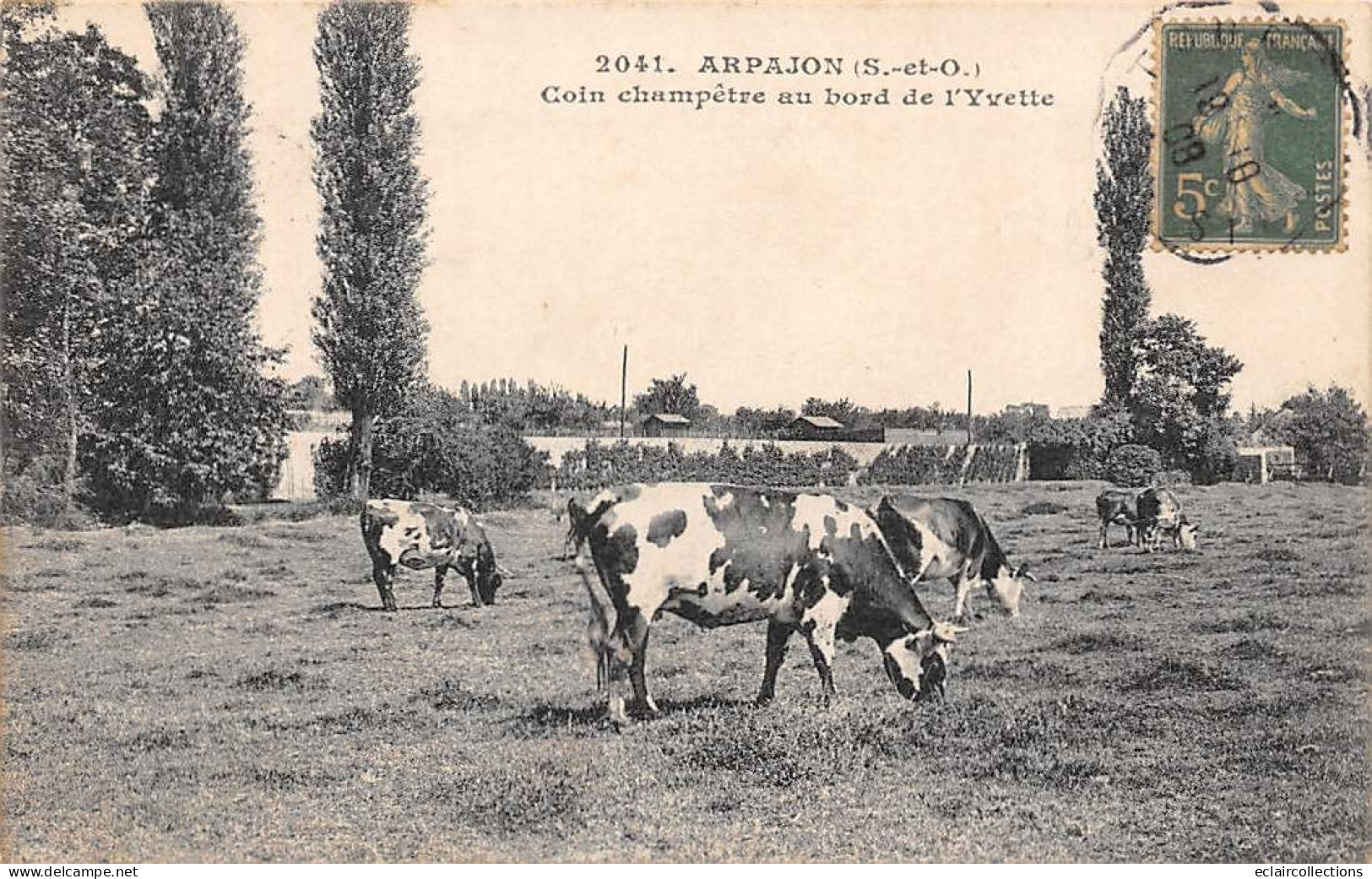 Arpajon           91          Coin Champêtre Au Bord De L'Yvette.  Vaches Au Pré           (voir Scan) - Arpajon