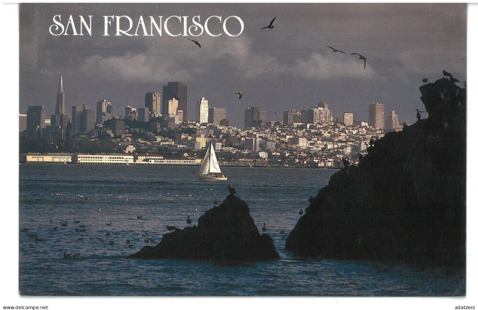 BR4123 U.S.A. San Francisco Seagulls And Sail Boats Viaggiata 1989 Verso Bassano Del Grappa - San Francisco