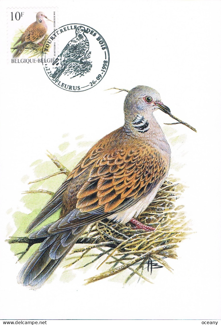 Belgique - Oiseaux : Tourterelle Des Bois CM 2783 (année 1998) - 1991-2000