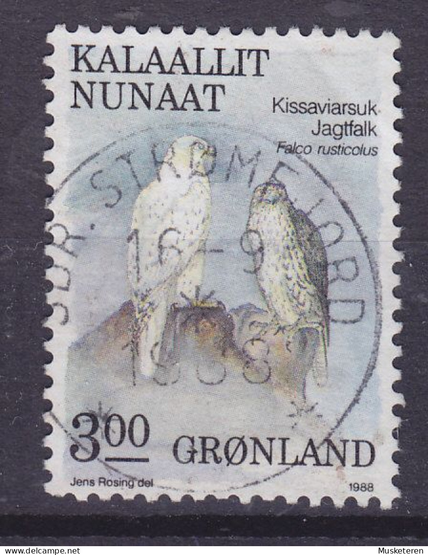 Greenland 1988 Mi. 181, 3.00 Kr Bird Vogel Oiseau Falke Falcon Deluxe SDR. STRØMFJORD 1988 Cancel - Used Stamps