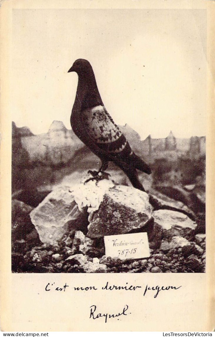 Pigeons - Cliché Officiel Du Pigeon De Verdun - Colombogramme Du Commandant Raynal - Carte Postale Ancienne - Autres & Non Classés